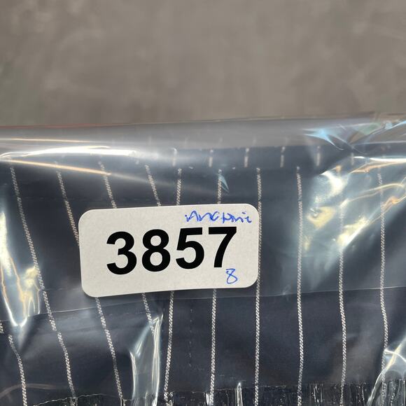 Anatomie Skyler Pants Womens XS Blue Pinstripe Travel Lightweight Stretch Euro - Picture 10 of 10